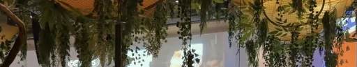世界杯赛场外的消费者争夺战